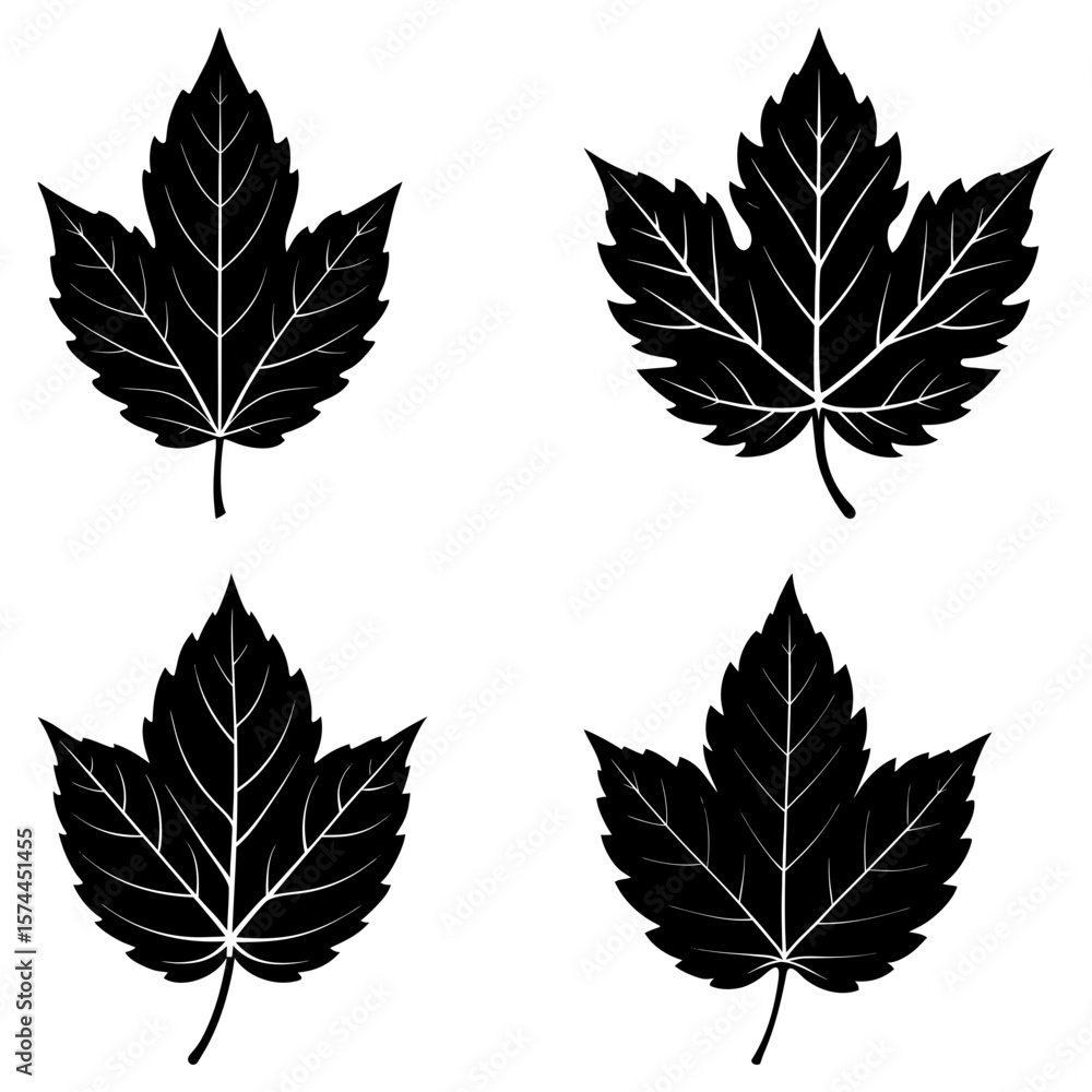 Fototapeta premium Four black maple leaf silhouettes with detailed veins arranged on a white background in a symmetrical pattern