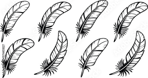 Collection of Stylized Black and White Bird Feathers with Intricate Details on White Background