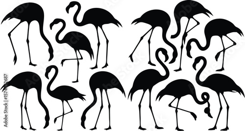 Silhouette of Flamingos Illustration Featuring Various Poses Against White Background