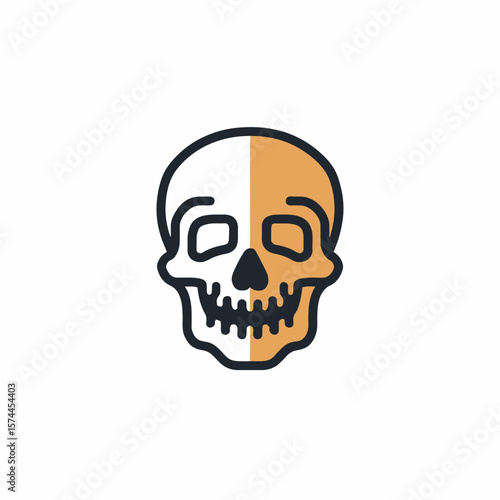 Anatomical skull shows aging process on white backdrop illustration