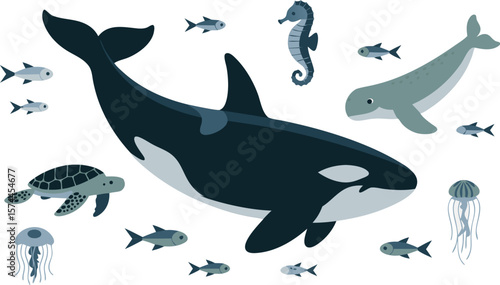 Cartoon Illustration of Orca, Beluga Whale, Sea Turtle, Seahorse, Jellyfish, and Small Fish