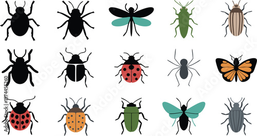 of Various Insects, Including Beetles, Ladybugs, Butterfly, Spider, and More on White Background