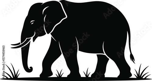 Black elephant walking through grass silhouette