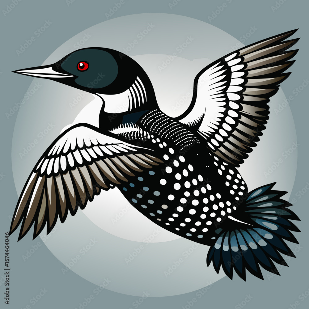 Fototapeta premium Common Loon Vector Illustration