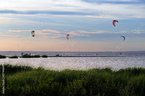 Kites Over the Bay