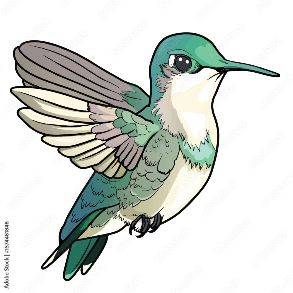 Obraz premium Vibrant Illustration of a Hummingbird in Flight (1)