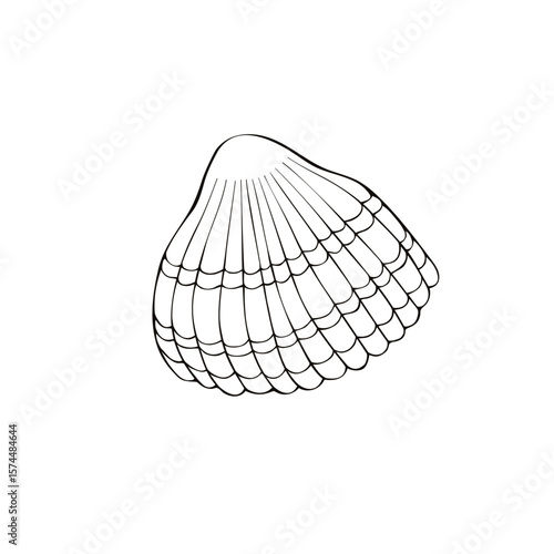 Black outline seashell icon. Clip art, simple illustration of marine shell in doodle style. Aquatic creature in ocean. Suitable for summer design, kids activity or educational materials
