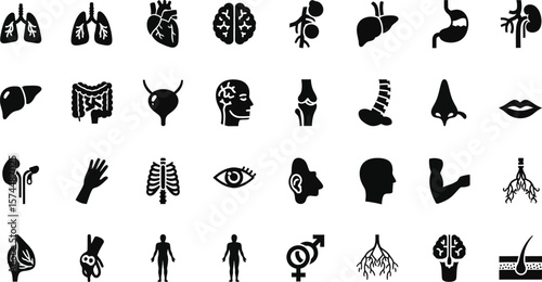 A set of human anatomy icons, including internal organs and body parts, all isolated on white background