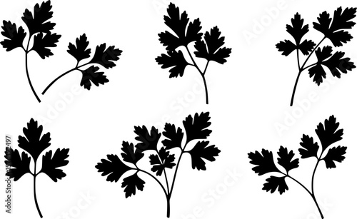 A collection of stylized parsley sprigs in black silhouette against white backdrop
