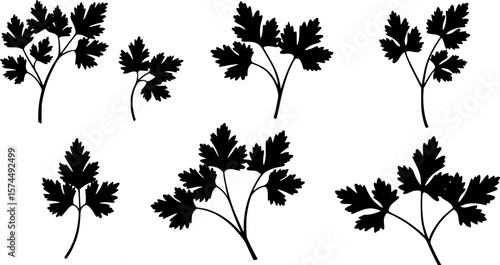 A collection of stylized parsley sprigs in black silhouette against white backdrop
