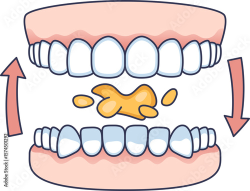 A cartoon illustration of teeth and gums showing the chewing process. Arrows indicate the jaw's motion breaking down food, representing the first step of digestion.