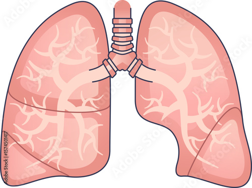 A stylized illustration of healthy human lungs, showing the trachea and bronchi. Represents the respiratory system, breathing, and pulmonary health. Main objects: lungs, trachea, bronchi.