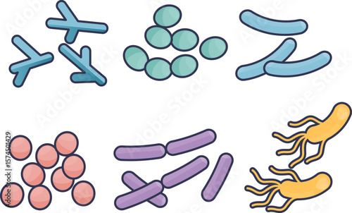 Illustration of a diverse microbial community. Features various bacteria shapes like cocci and bacilli, symbolizing the complexity of a microbiome and gut flora.