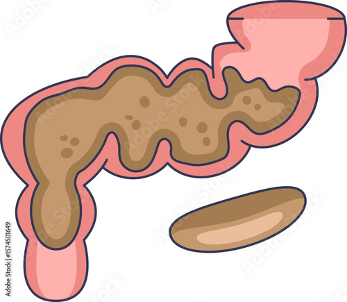 A cartoon illustration of the human colon filled with feces. This visual represents the process of waste formation and digestion, leading to the creation of stool.