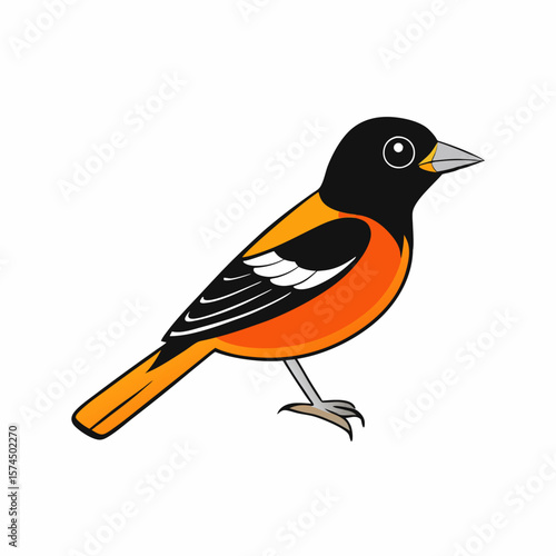 Bright Orange Baltimore Oriole Bird Cartoon Illustration Vector Graphic Design