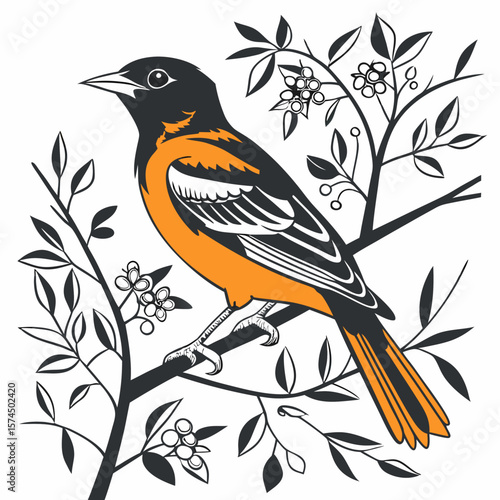 Elegant Baltimore Oriole Bird Perched on Branch Spring Floral Design Graphic Illustration