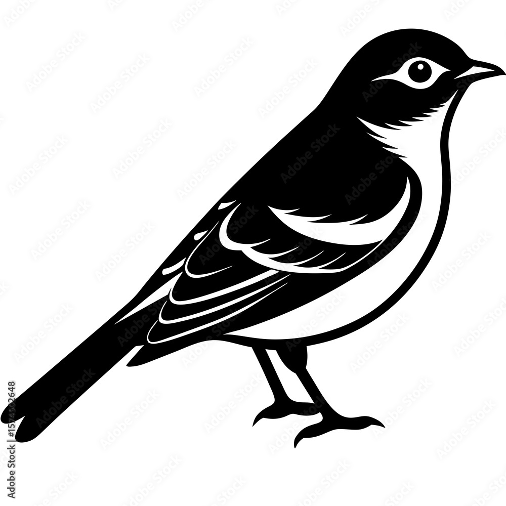 Obraz premium Elegant Black and White Bird Silhouette Nature Illustration Graphic Design