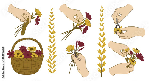 Floral Arrangement Process: Handcrafted Bouquet Illustration