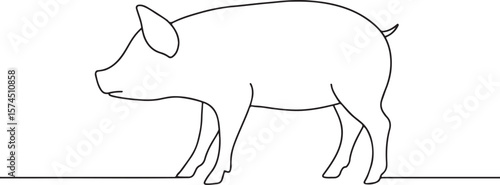 Domestic Pig Farm Animal Minimalist Line Illustration