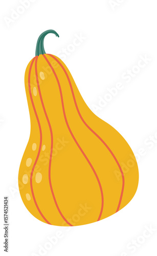 Ripe butternut squash featuring a vibrant orange skin adorned with vertical stripes and a fresh green stem, isolated against a clean white background in a detailed illustration