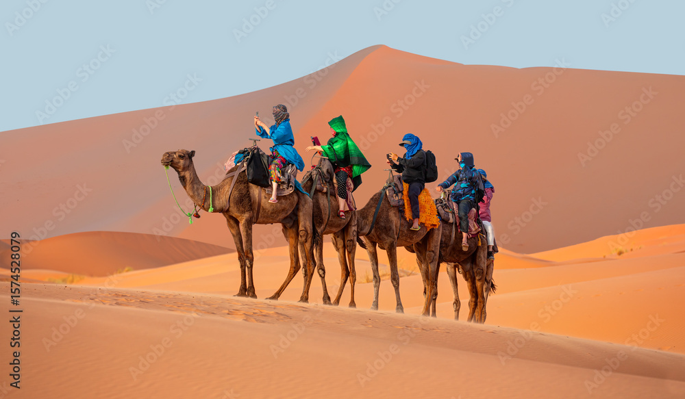 Fototapeta premium Camel caravan in the desert at sunrise - Sahara, Morrocco