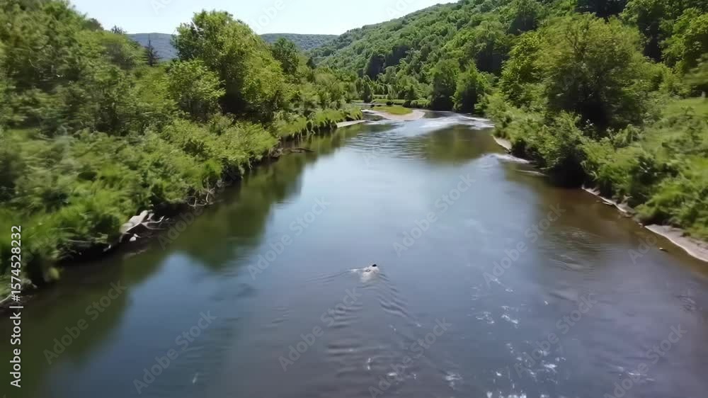 Serene river winding through lush green valley Serene river winding through lush green valley
