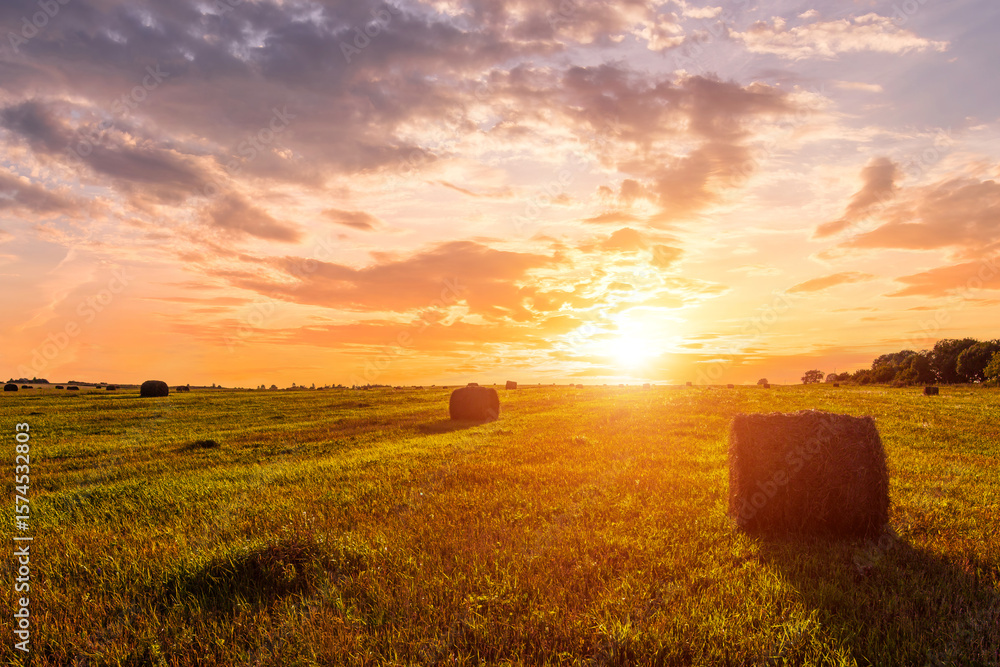 Fototapeta premium Scenic sunset over hay bales in a field. Golden light bathes the landscape, creating a tranquil scene. For agriculture, travel and inspiring greeting card designs.