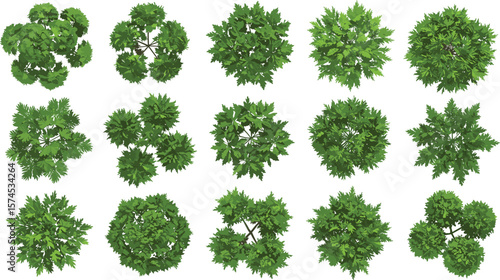 
Top view green tree collection, realistic foliage set, landscaping design elements, garden planning clipart, aerial nature illustration pack