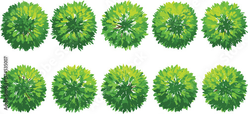 
Top view green tree set, round foliage elements, landscape design, vector garden trees, isolated leaf textures for architectural planning.