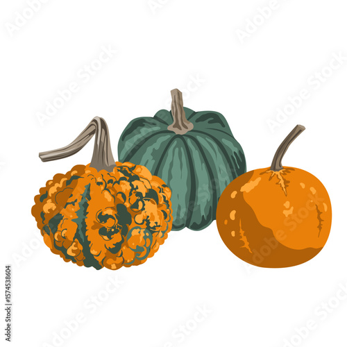 Pumpkins composition isolated on white. Cozy small gourds autumn decoration. Vector squash set illustration