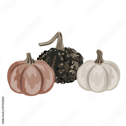 Funny small decorative pimpled pumpkin composition isolated on white. Pimply and warty gourd vector drawing illustration