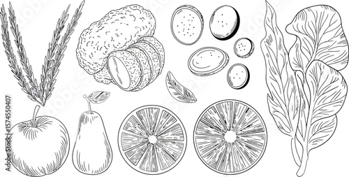 A sketched still life of apple, pear, oranges, cauliflower, mushrooms, and spinach on white background