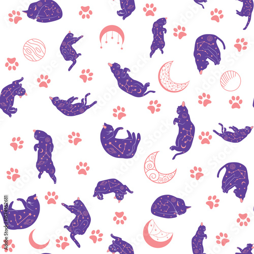 Mystical seamless pattern of cats in boho style, silhouette collection. Esotericism and mysticism, occultism. Cartoon flat vector illustrations, isolated