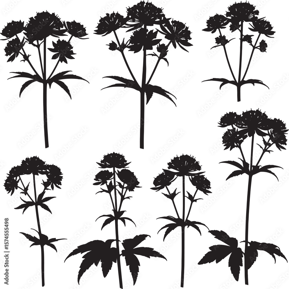 Obraz premium Dark silhouette flower illustrations, a diverse collection of detailed botanical shapes perfect for elegant design, featuring various blooming plants and organic forms for creative projects