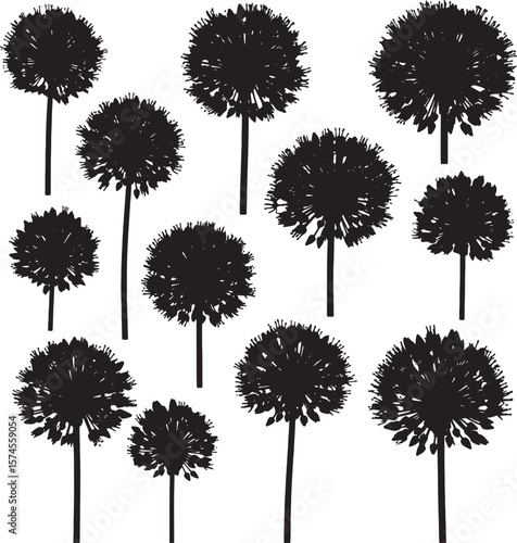 Collection of various dandelion puffball silhouettes with delicate seeds, perfect for nature-themed designs, spring concepts, wishes, and organic graphic elements in various creative projects
