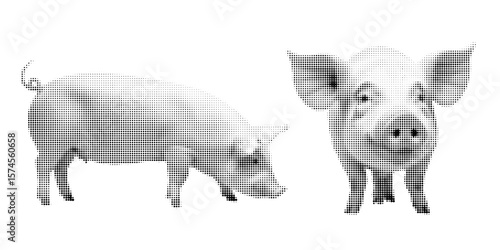 Pig, halftone vector illustration of a mammal, in retro comic book style with bold dotted texture. Different positions, sitting, standing, Pig, Black and white image, isolated on white background