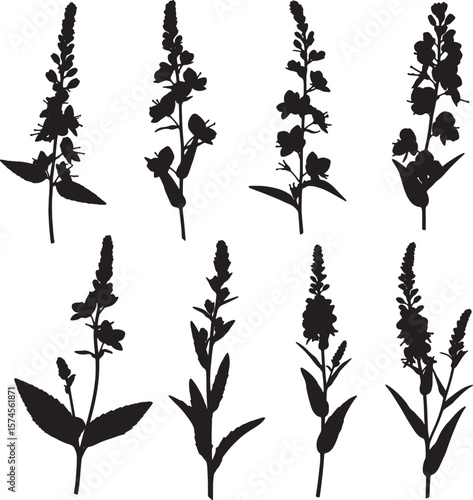 Flower spikes silhouettes vector illustration set featuring various tall, elegant plant designs perfect for botanical graphics, natural-themed patterns, and decorative artistic projects