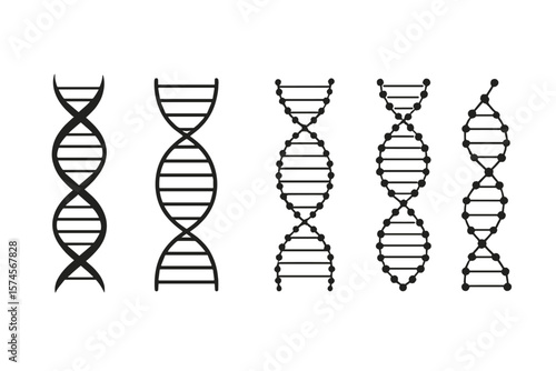 Different styles of DNA structures displayed in a simple and clear manner for educational purposes