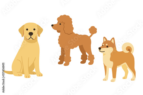 Three cartoon dogs sitting together, showcasing different breeds against a plain backdrop