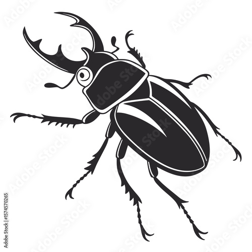 colorado potato beetle