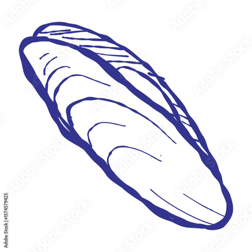 Detailed illustration of mussels and shellfish in a marine setting. Hand-drawn bivalves shown with artistic textures and ocean-inspired colors.