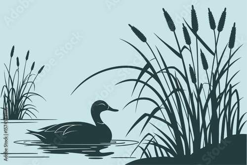 Black duck and cattail reeds in silhouette against a colorful sky
