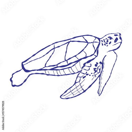 Detailed illustration of a sea turtle swimming gracefully in tropical waters. The reptile’s textured shell and ocean surroundings create a calm, coastal atmosphere.