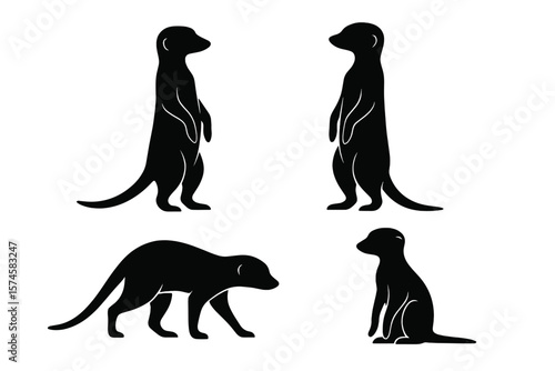Various poses of a meerkat showcasing its natural behavior in a playful manner