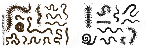 Various types of centipedes and worms illustrated in black and brown colors on a light background