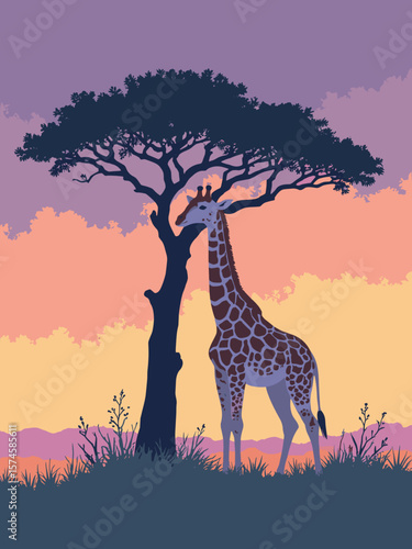 Giraffe silhouetted against acacia tree at dusk in tawny yellow, brown spots, olive green foliage, and lavender sky