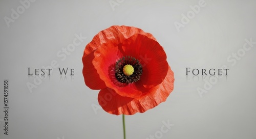 Lest We Forget Poppy Remembrance Day Memorial Day Veteran Support