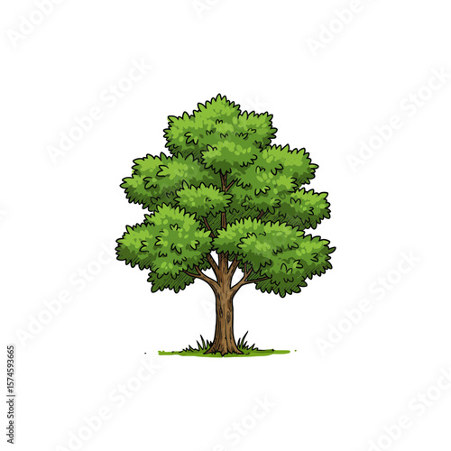 Colorful Icon of American Sycamore Tree with No White