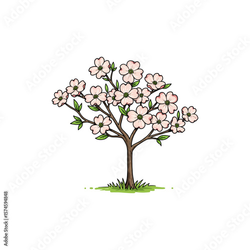 Colorful Dogwood Tree Icon with No White Background