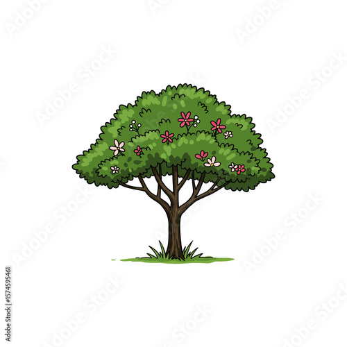Colorful Indian Kino Tree Icon with No White Background